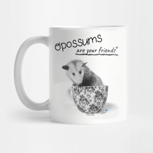 Opossums Are Your Friends Mug